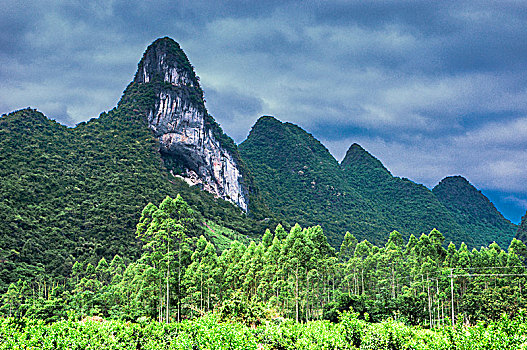cau lo mien nam