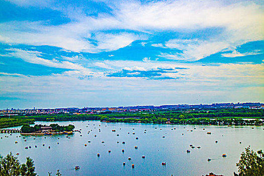 cầu bạch kim