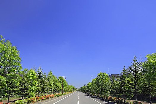 chơi số đề online