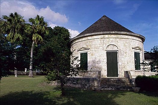 soi cau rong bach kim 247