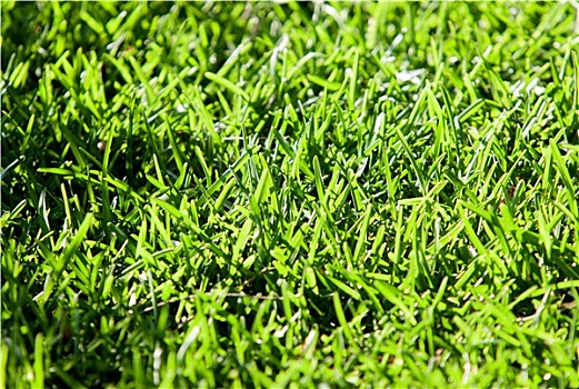xổ số miền nam thứ bảy hàng tuần