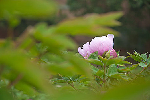 thống kê xsmb theo tuần